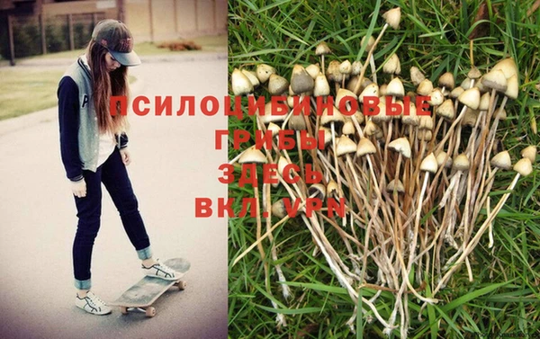 шишки Ладушкин