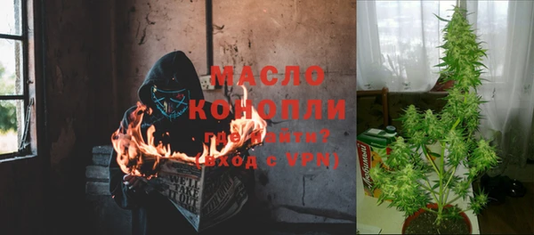 шишки Ладушкин