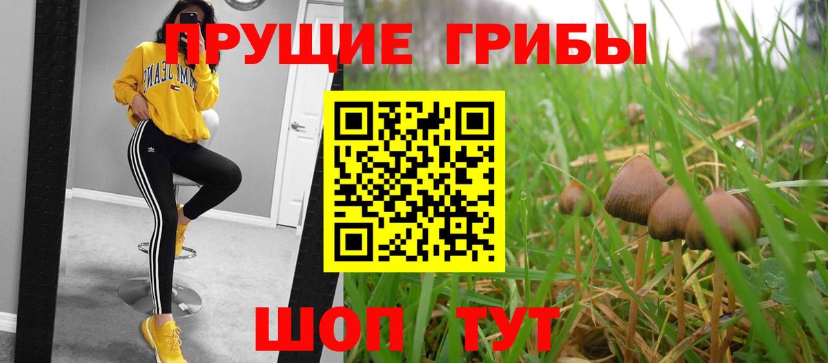 Галлюциногенные грибы Psilocybine cubensis  Псилоцибиновые грибы Psilocybine cubensis  Кумертау 