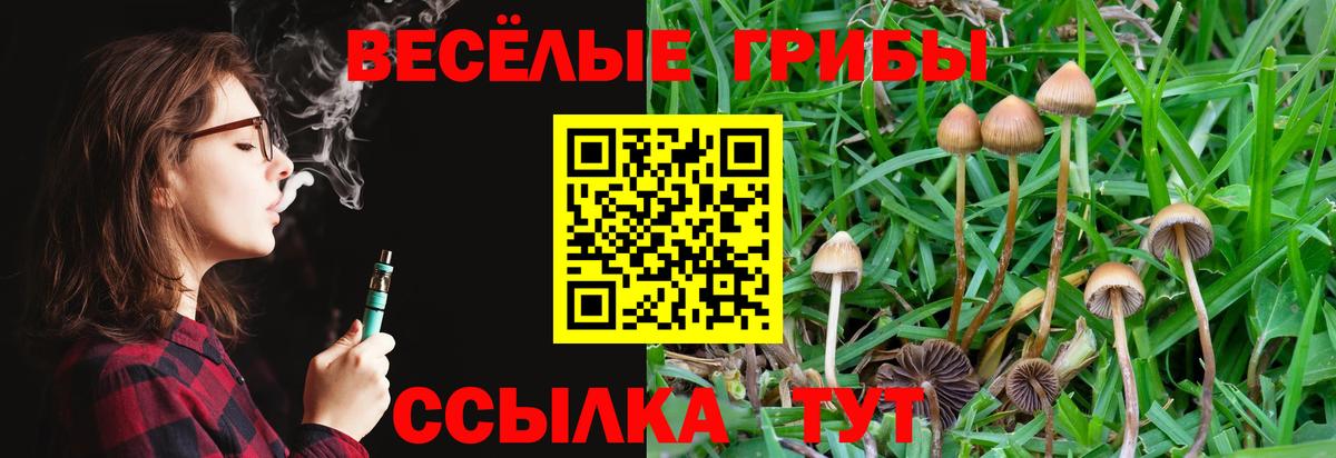 Галлюциногенные грибы GOLDEN TEACHER Кумертау