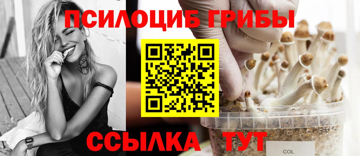 Галлюциногенные грибы Cubensis Кумертау